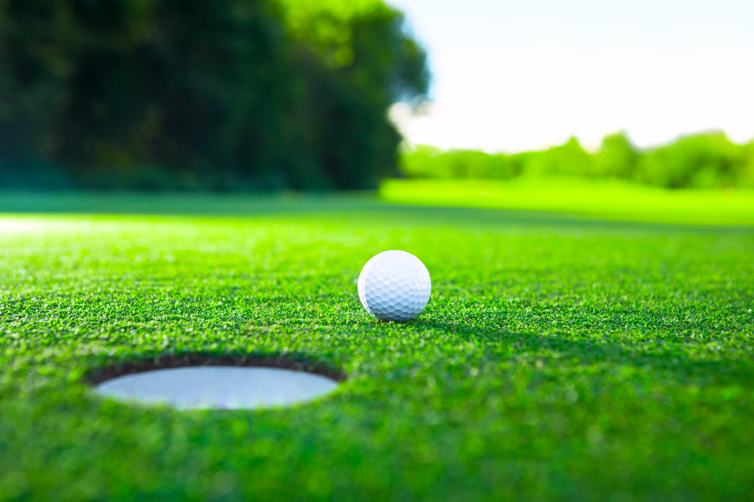 Golf ball on the lawn Golf ball on the lawn